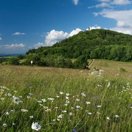 Zugspitze * Altenberg