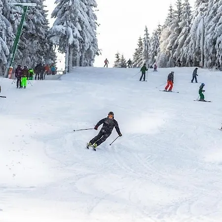 Zugspitze Appartement *