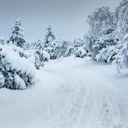 Lejlighed Zugspitze *