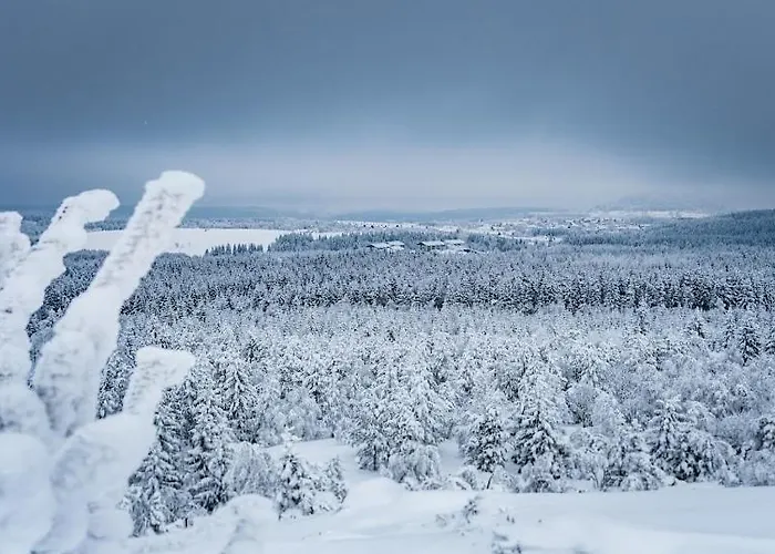 Zugspitze Альтенберг