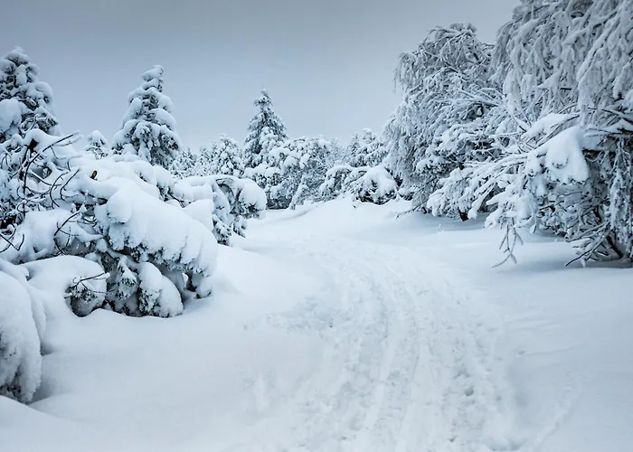 Апартаменты Zugspitze *